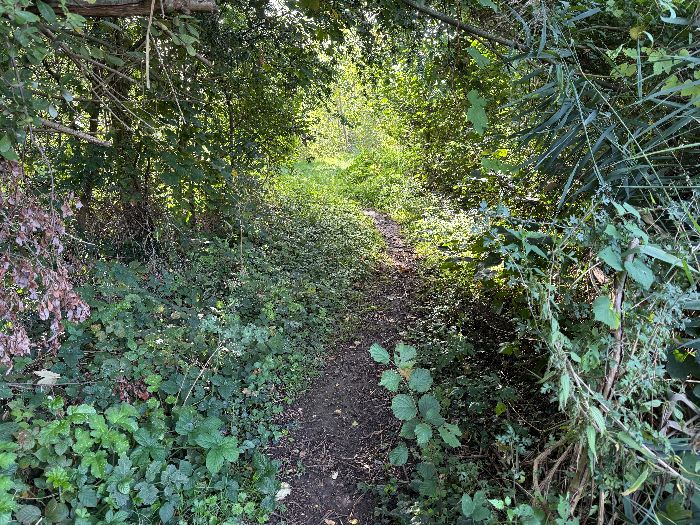 Les étangs de Fontaine-Heudebourg et celui de Cailly-sur-Eure sont indépendants, mais un discret sentier permet de passer de l'un à l'autre.