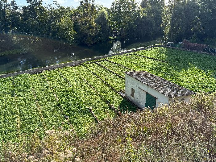 La cressonnière de l'Eure est toujours en activité!&nbsp;