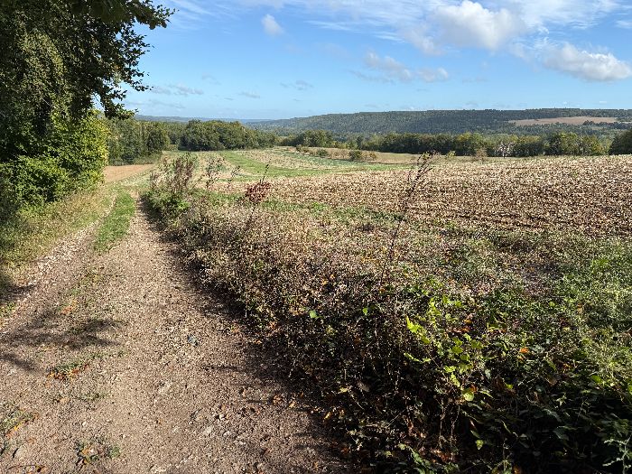 Sur le plateau, je tourne vers le nord. A la sortie du bois Renard, on bénéficie de cette vue sur la vallée de l'Eure.
