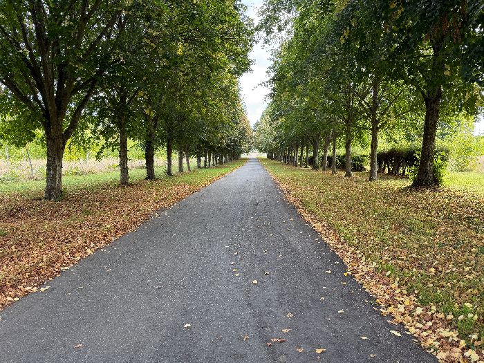 La rue des Tilleuls avance en allée jusqu'à l'entrée du Manoir d'Heudreville (XVIIe XVIIIe).