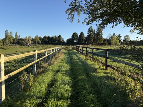 Autre type de chemin dans ces terres d'élevages de chevaux. Nous approchons du hameau de Lapérière.
