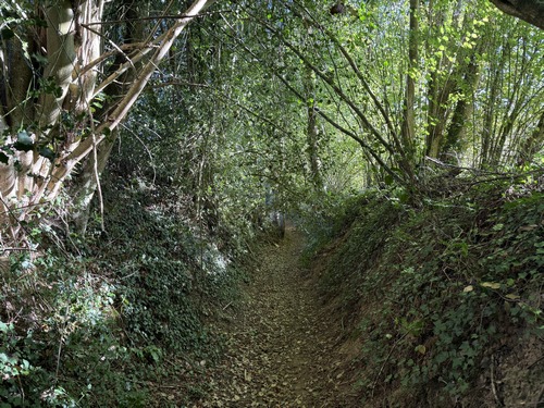 Le chemin de la Chaupardière descend vers la vallée de la Calonne.