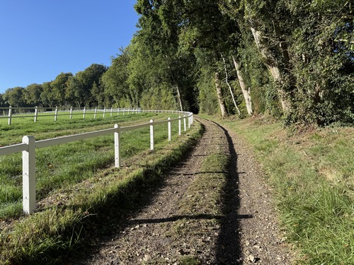Nous quittons la vallée pour rejoindre le lieu-dit la Tironnerie en passant le coteau boisé.