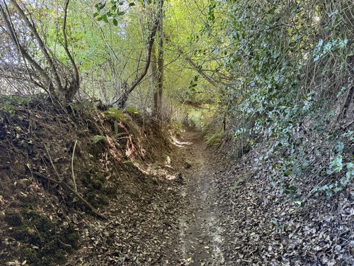 Chemin de la Tironnerie.