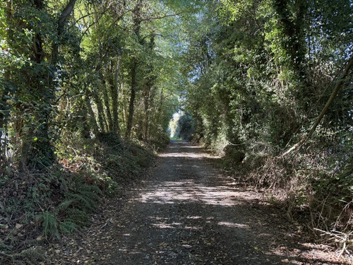 Nous avons traversé les plaines du plateau dans des couloirs de verdure et arrivons au hameau de la Héroudière.