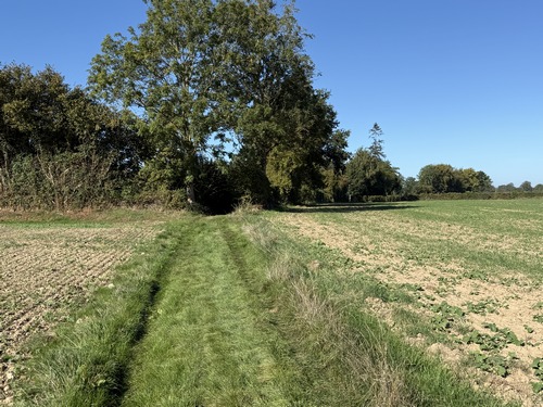 Nous longeons le hameau du Chesne, juste avant Piencourt.