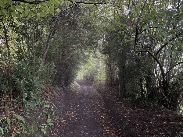 A la sortie du bourg, je suis le chemin de la Belle Herbe qui descend vers le vallon du Douet de la Belle Herbe.