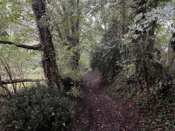 Je quitte la voie romaine pour suivre le chemin de la Vallée, puis ce sentier qui descend vers le Douet Tourtelle.