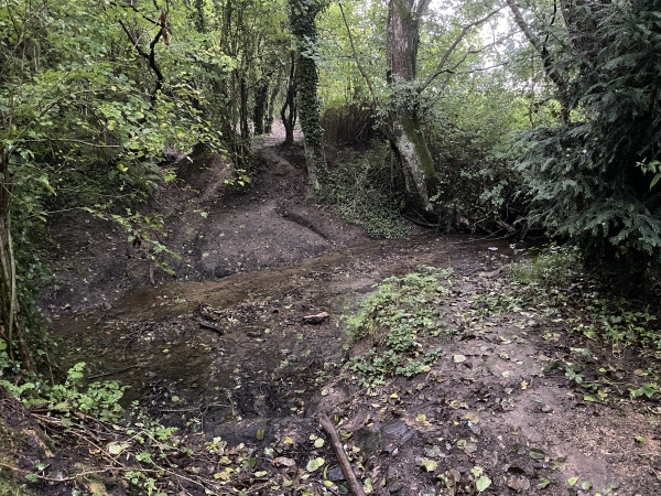 La traversée du Douet Tourtelle se fait à gué, mais le ruisseau n'est pas méchant malgré une semaine de pluie. La pente, de l'autre côté, est très glissante !