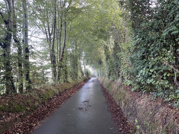 Je prends maintenant la rue de la Vallée Martigny.