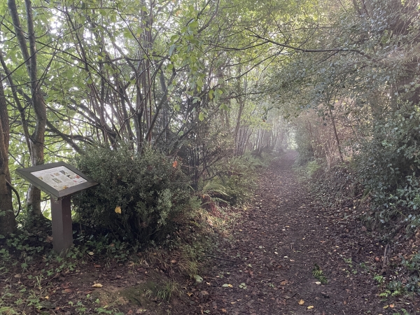 Je quitte la rue de la Vallée Martigny pour suivre une partie du Sentier de la Biodiversité aménagé par la communauté de communes de Cormeilles.