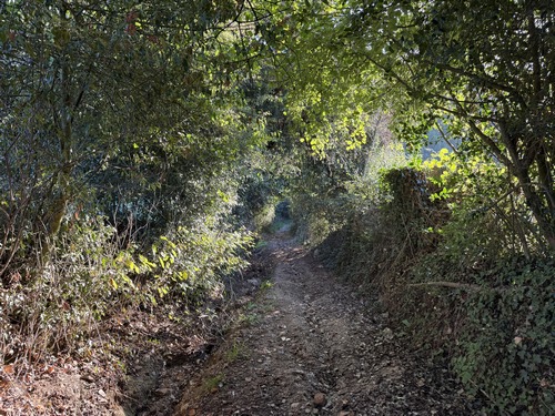 Nous partons de la Place de la Mairie, en face du premier chemin qui descend dans le bois de Lignières.