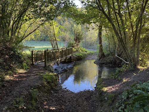 Nous descendons vers la vallée de la Calonne par un chemin bordé de haies bocagères qui lui font un couloir de verdure. Nous traversons la Calonne au niveau du gué, par une passerelle de bois. Attention aux enfants, la passerelle a perdu quelques planches.