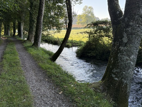 Le chemin longe maintenant la Calonne, en lisière du bois de Bréval.
