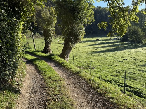 Vallée de la Calonne.