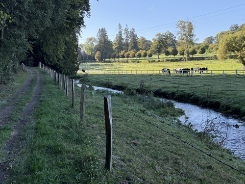 Nous avons traversé le Ruisseau de l'Abbesse à Bailleul, et suivons à nouveau ici la Calonne et les terres du Haras de Piencourt, qui n'élève pas que des chevaux comme on le voit.