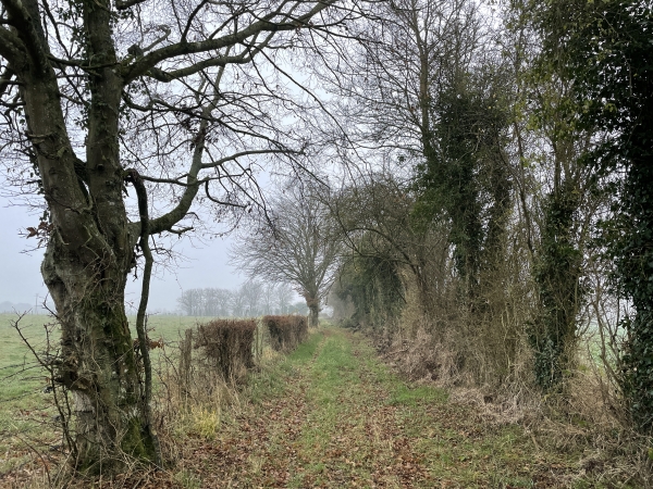 Le chemin longe la ferme de la Courtillière et rejoint la route du Chesnay.