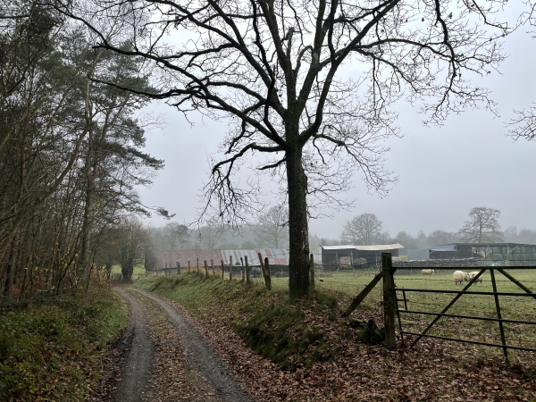Aux Drouaires, nous entrons dans les bois qui dominent la source de l'Orbiquet.