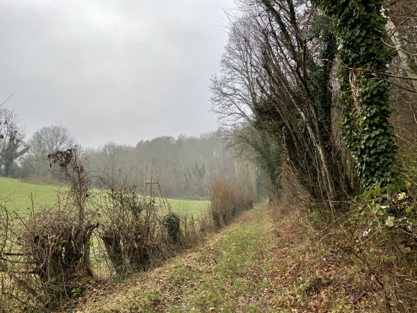 Nous descendons maintenant vers la Folletière-Abenon.