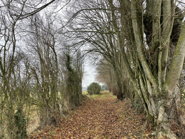 Nous contournons St-Laurent-des-Grès en suivant le GR26.