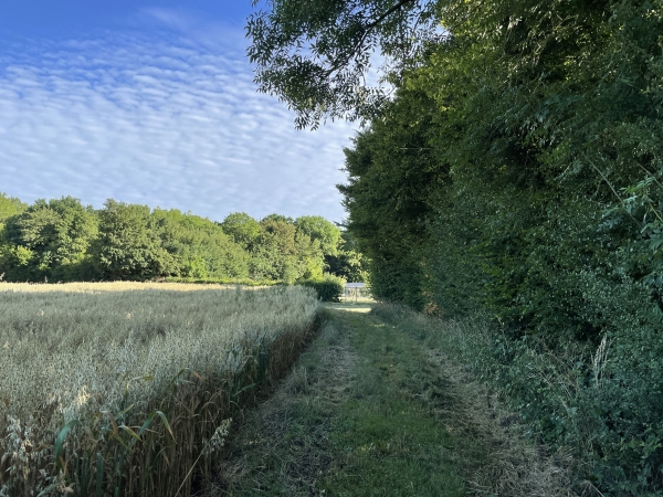 Je m'éloigne de l'église par ce chemin parallèle à la route d'Echanfray.