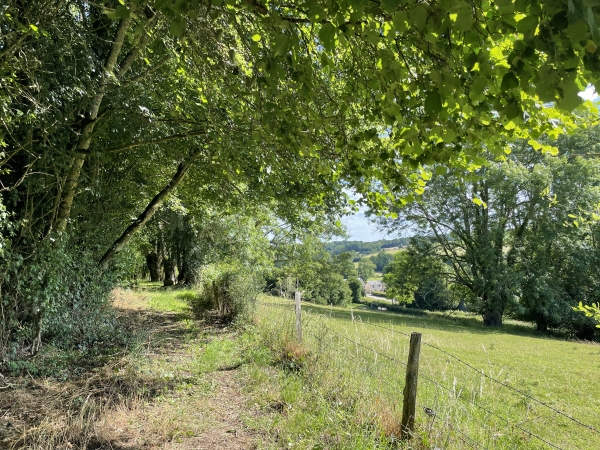 On peut déjà distinguer les premières maisons de Notre-Dame-du-Hamel.