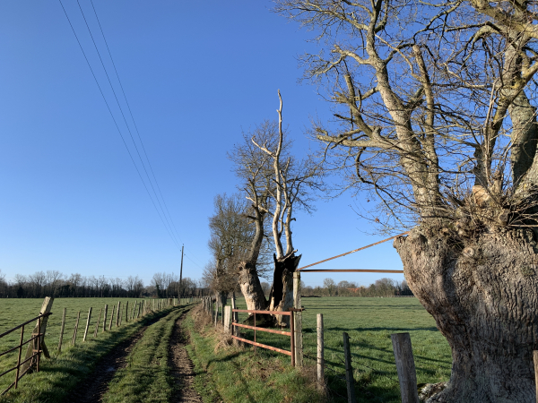 Nous traversons les près jusqu'au bois des Nerveaux.