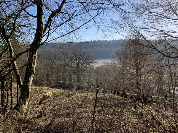 Nous marchons en balcon au-dessus de la vallée de la Charentonne, avec de sympathiques panoramas.