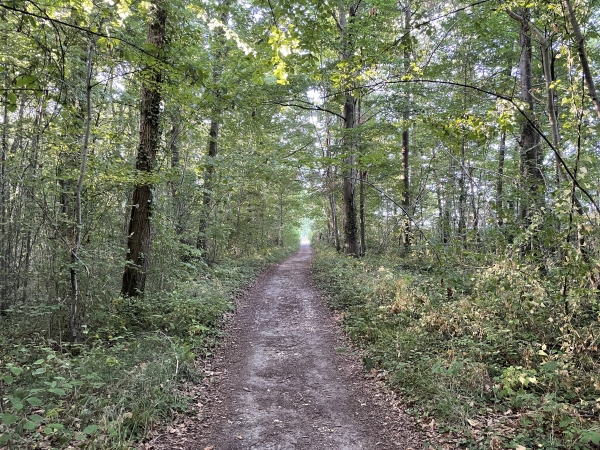 Chemin dans les bois en direction de St-Pierre-d'Autils.