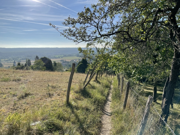 Notre descente longe les cognassiers.
