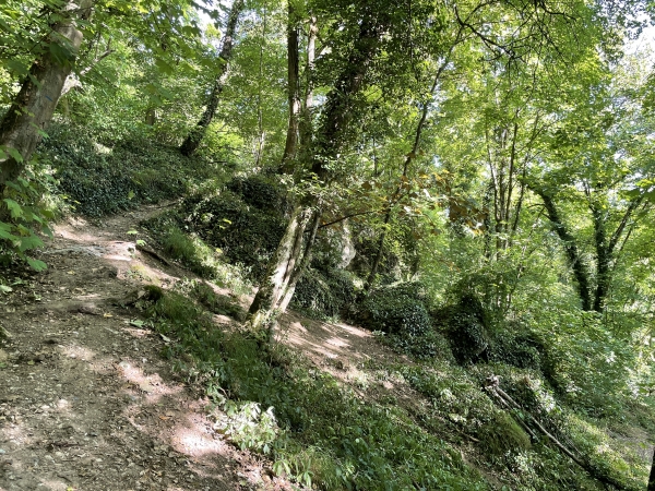 Nous passons au-dessus d'un des abris sous roche de Mestreville. C'est dans la plus grande de ces grottes que fut découverte un tibia de mammouth, des ossements de rennes et des outils de silex.