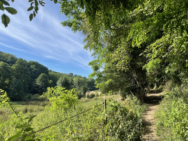Le chemin surplombe le Ruisseau de Saint-Ouen.