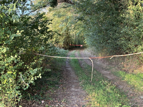 Le chemin de la Briqueterie est privé depuis quelques années, ce qui ne permet plus de suivre l'itinéraire originel. Nous continuons donc sur la route de la Liègue, jusqu'au premier chemin public.