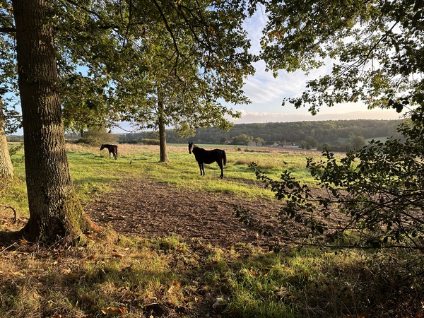 La petite route de la Liègue n'est pas désagréable à suivre comme on le voit.