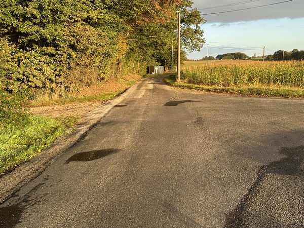 Au premier carrefour, nous allons prendre le chemin à gauche et entrer dans le bois de Bimorel.