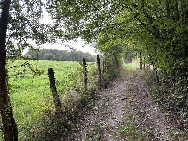 Nous retrouvons les bois et d'agréables chemins sur les hauteurs du Fief Cadot.