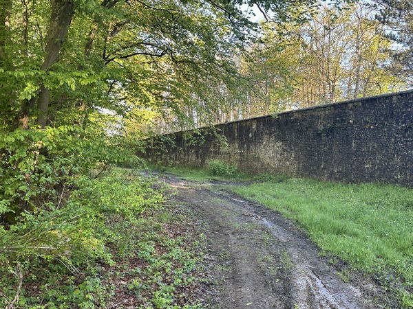 Nous longeons le mur du Centre Technique et d'Essais de Renault, installé dans l'ancien parc du château de Gaillon. Coincé entre le mur et le bois, l'endroit est humide, le chemin peut être boueux.