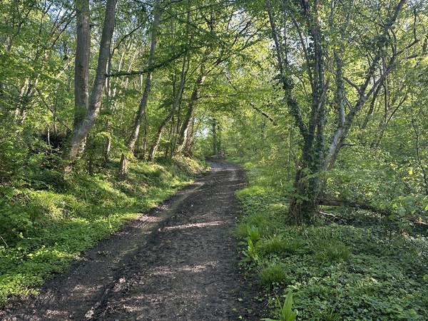 Près de Fontaine-la-Verte, le chemin est boisé. D'une manière générale, les paysages sont très variés sur ce circuit.