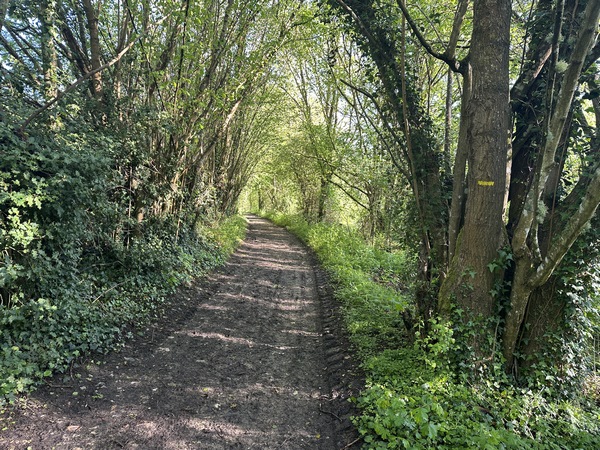 Le balisage jaune est bien visible et régulier.