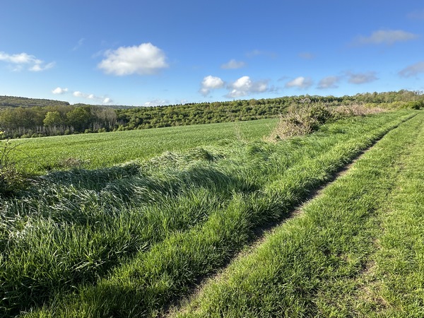 Regard arrière sur le vallon du Vau Genêt et les bois de ses coteaux.