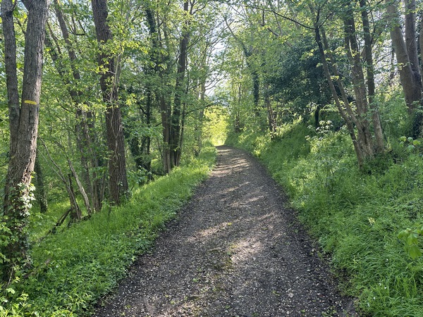 Nous montons vers Villers-sur-le-Roule par le bois de la Fayel.
