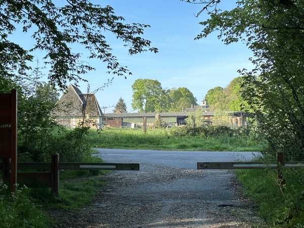 Nous avons ensuite suivi la route forestière du Mont Clève qui débouche ici dans la rue de l'Ourée à La Londe. Nous allons la suivre à gauche.