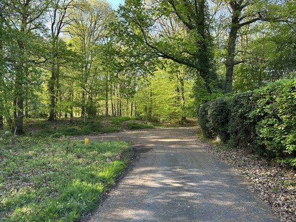 La petite rue se termine sur ce chemin forestier. Le passage piéton est à gauche de la barrière.&nbsp;