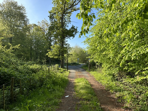 Nous allons traverser la D132 et continuer sur la route en face.