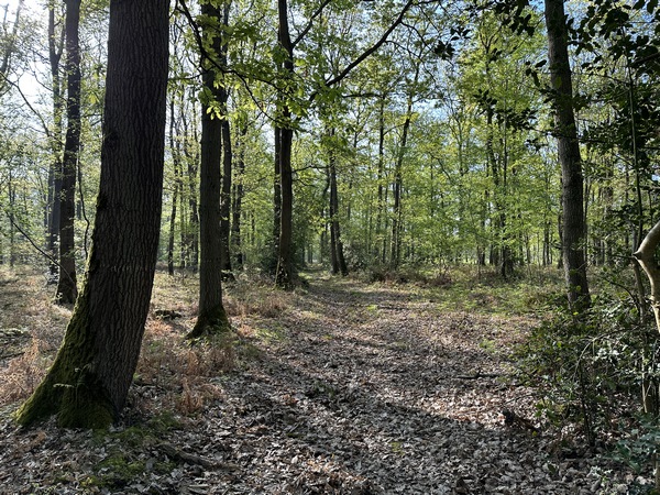 Pour rejoindre le Chemin de Rouen, et éviter la route, nous suivons des chemins du Mont Prélat (à éviter en période de chasse).