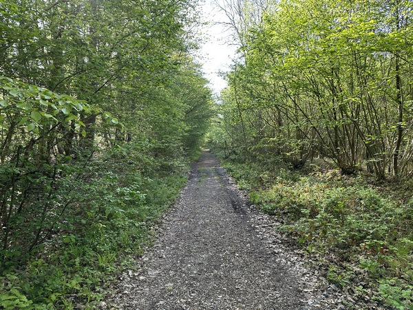 Nous rejoignons le Chemin de Rouen qui va nous conduire, en ligne droite, jusqu'à Elbeuf.