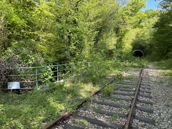 Juste avant le tunnel d'Orival, nous quittons la voie ferrée pour suivre le chemin que l'on devine à gauche, derrière le garde-fou. Une coulée, après le garde-fou, permet de rejoindre facilement ce chemin qui passe sous la voie.