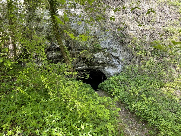 Plusieurs grottes s'ouvrent au bord de notre chemin. Ce sont d'anciennes carrières de craie et silex, et de terre à foulon.