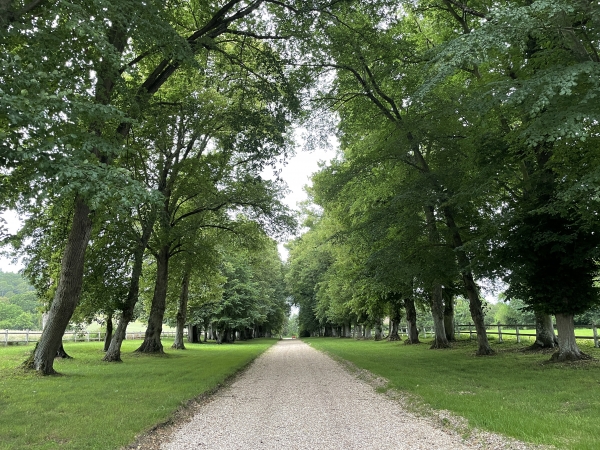 Nous suivons l'allée du château en direction de l'église.