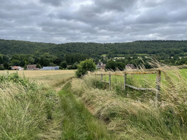 Nous montons dans le bois de Bosville, regard arrière sur la vallée.